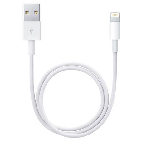 APPLE MD819ZM/A LIGHTNING TO USB CABLE (2M)